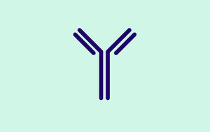 Molecule_Selection_Characterization