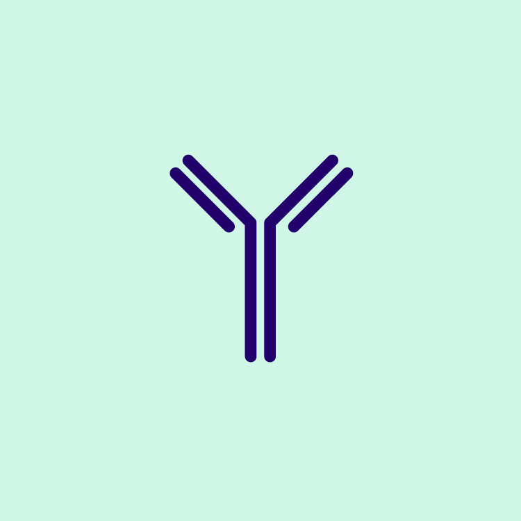 Molecule_Selection_Characterization