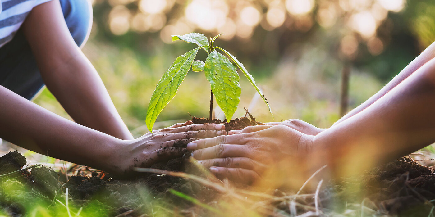 respect_sustainable_practices