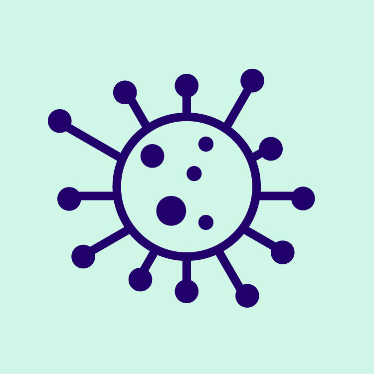 Molecules_Supported